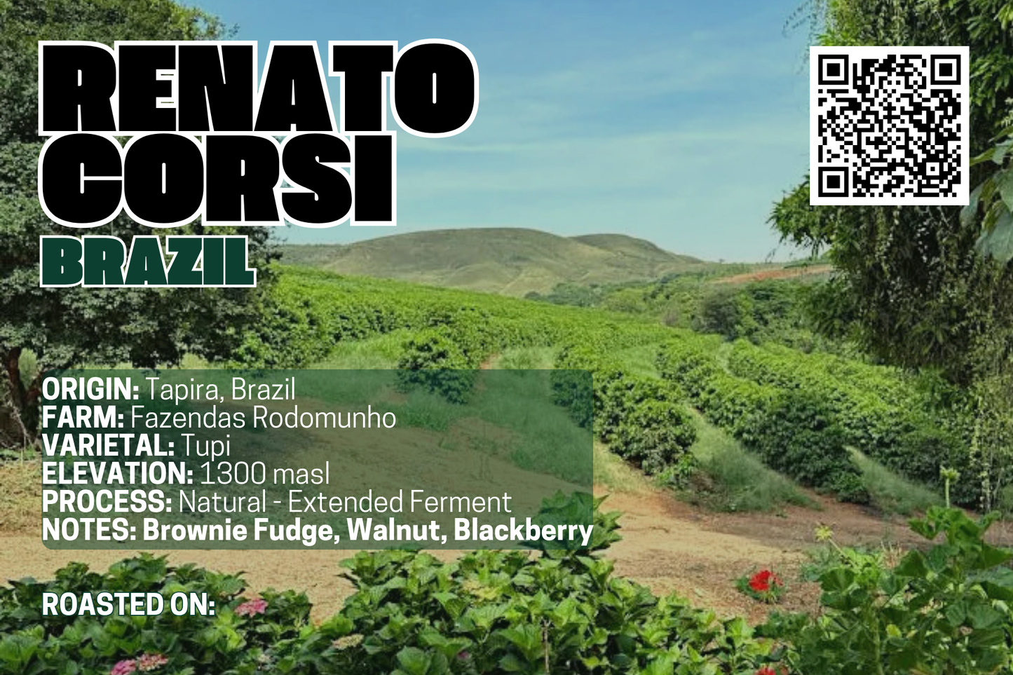 Brazil - Renato Corsi