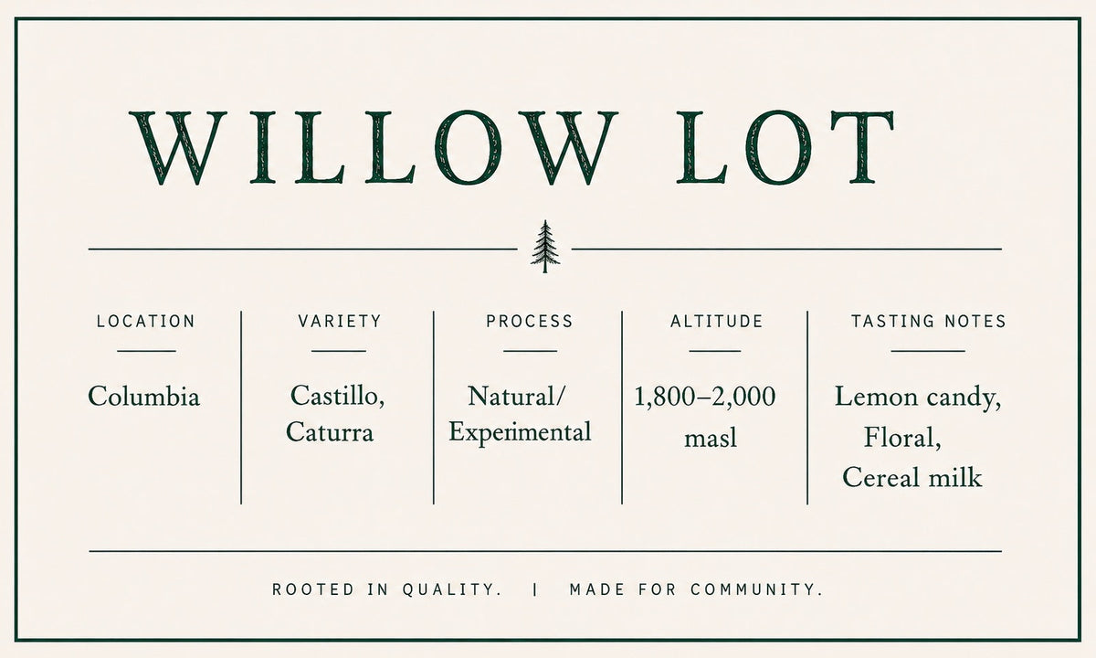 Willow Lot