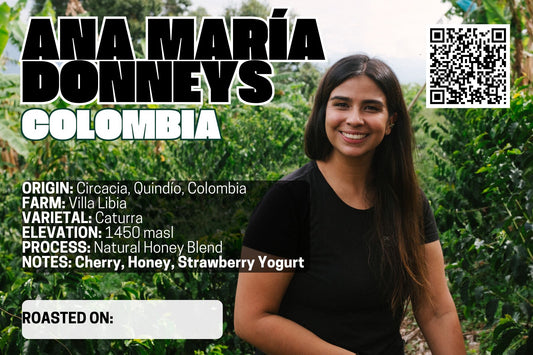 Ana Maria Donneys