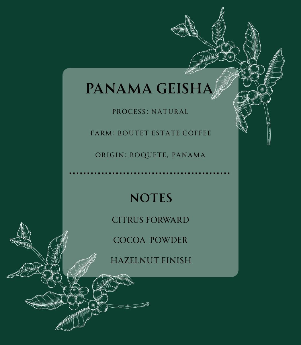 Panama Geisha